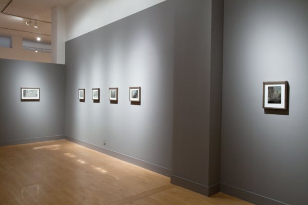 Installation view of Binh Danh: Yosemite, September 6 - October 27, 2012 at Haines Gallery, San Francisco