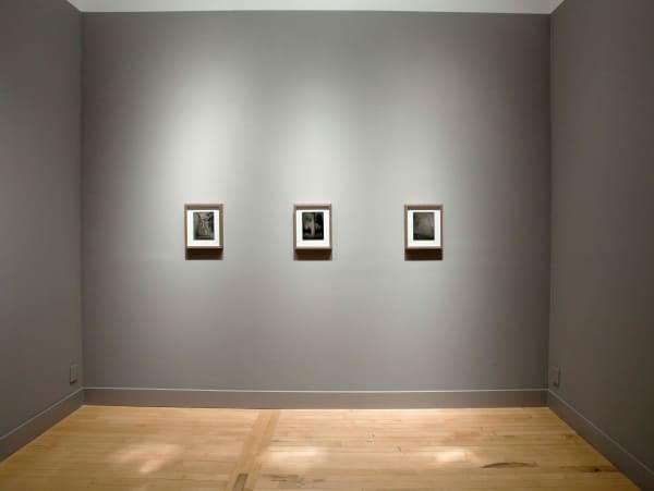 Installation view of Binh Danh: Yosemite, September 6 - October 27, 2012 at Haines Gallery, San Francisco