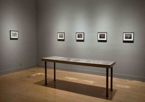Installation view of Binh Danh: Yosemite, September 6 - October 27, 2012 at Haines Gallery, San Francisco