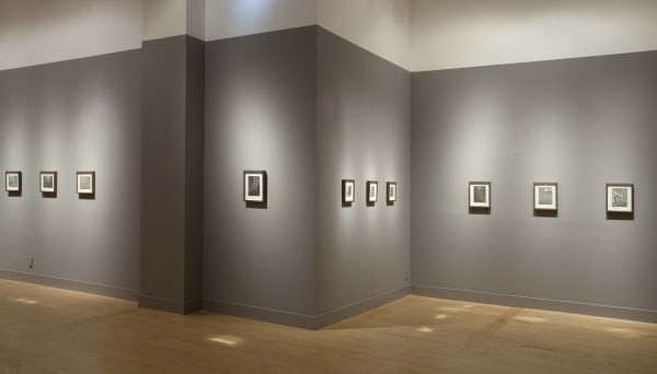 Installation view of Binh Danh: Yosemite, September 6 - October 27, 2012 at Haines Gallery, San Francisco