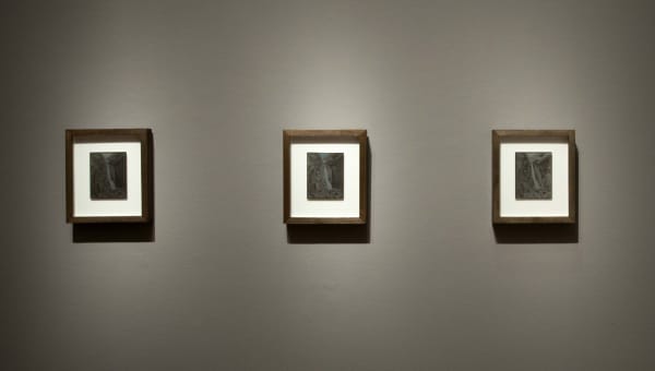 Installation view of Binh Danh: Yosemite, September 6 - October 27, 2012 at Haines Gallery, San Francisco