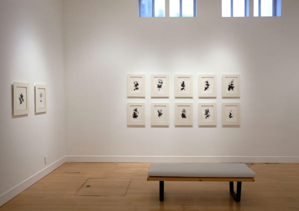 Installation view of Darren Waterston: Ravens and Ruins, March 28 - May 18, 2013 at Haines Gallery, San Francisco