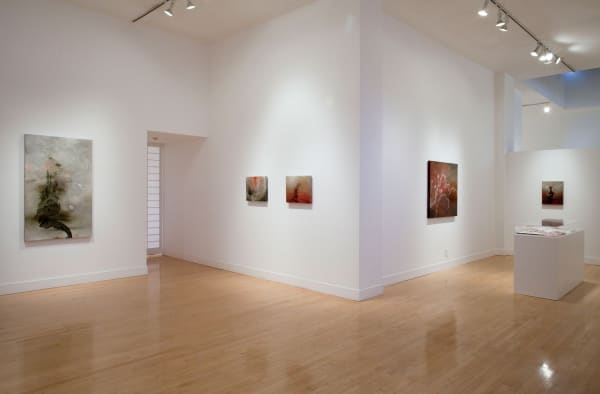 Installation view of Darren Waterston: Ravens and Ruins, March 28 - May 18, 2013 at Haines Gallery, San Francisco