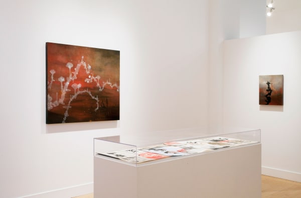 Installation view of Darren Waterston: Ravens and Ruins, March 28 - May 18, 2013 at Haines Gallery, San Francisco