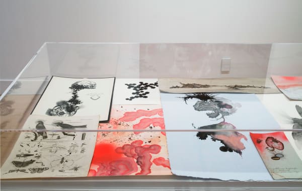 Installation view of Darren Waterston: Ravens and Ruins, March 28 - May 18, 2013 at Haines Gallery, San Francisco