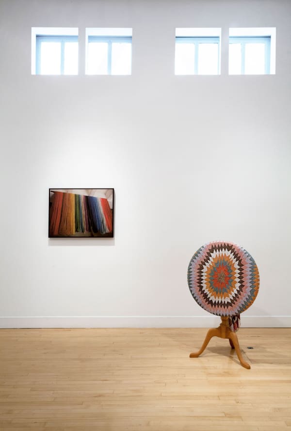 Installation view of Sunny A. Smith: Living History, May 23 - July 6, 2013 at Haines Gallery, San Francisco