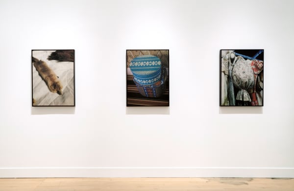 Installation view of Sunny A. Smith: Living History, May 23 - July 6, 2013 at Haines Gallery, San Francisco
