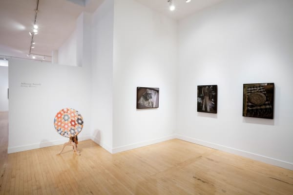 Installation view of Sunny A. Smith: Living History, May 23 - July 6, 2013 at Haines Gallery, San Francisco