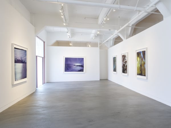 Installation view of John Chiara: Sea of Glass, March 15 - April 27, 2024 at Haines Gallery, San Francisco Photo: Robert Divers Herrick