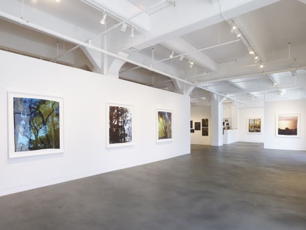 Installation view of John Chiara: Sea of Glass, March 15 - April 27, 2024 at Haines Gallery, San Francisco Photo: Robert Divers Herrick
