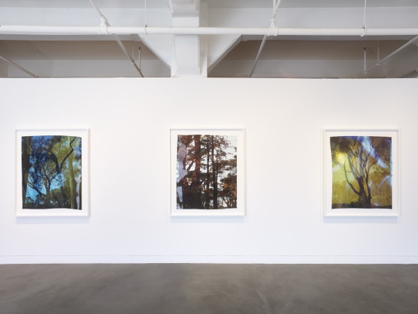 Installation view of John Chiara: Sea of Glass, March 15 - April 27, 2024 at Haines Gallery, San Francisco Photo: Robert Divers Herrick