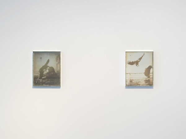 Installation view of Material Matters, July 19 - August 31, 2024 at Haines Gallery, San Francisco Photo: Robert Divers Herrick