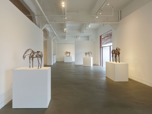 Installation view of Deborah Butterfield: New Sculpture, September 6 - November 9, 2024 at Haines Gallery, San Francisco Photo: Robert Divers Herrick