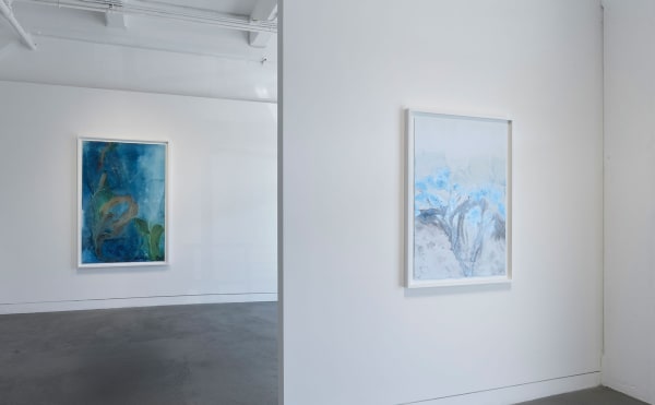 Installation view of Meghann Riepenhoff: State Shift, January 22 - March 15, 2025 at Haines Gallery, San Francisco, CA Photo: Robert Divers Herrick