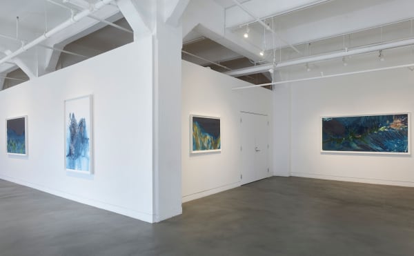 Installation view of Meghann Riepenhoff: State Shift, January 22 - March 15, 2025 at Haines Gallery, San Francisco, CA Photo: Robert Divers Herrick