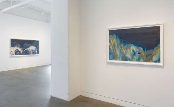 Installation view of Meghann Riepenhoff: State Shift, January 22 - March 15, 2025 at Haines Gallery, San Francisco, CA Photo: Robert Divers Herrick