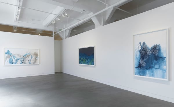 Installation view of Meghann Riepenhoff: State Shift, January 22 - March 15, 2025 at Haines Gallery, San Francisco, CA Photo: Robert Divers Herrick