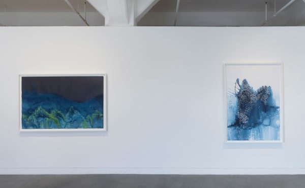 Installation view of Meghann Riepenhoff: State Shift, January 22 - March 15, 2025 at Haines Gallery, San Francisco, CA Photo: Robert Divers Herrick