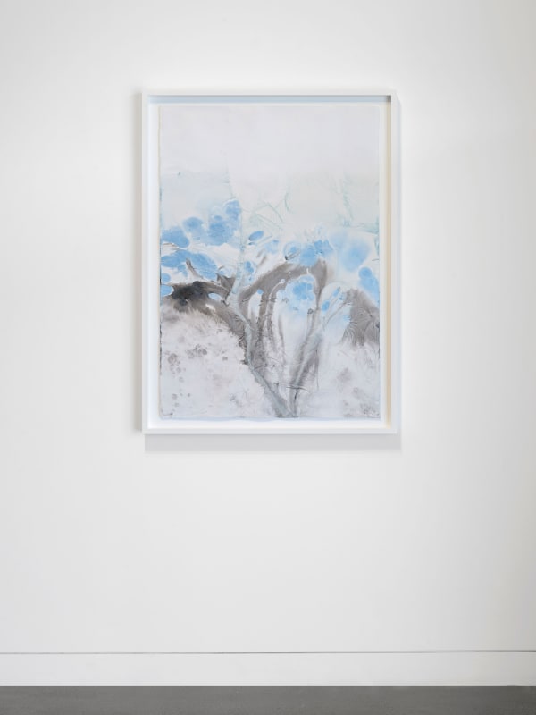 Installation view of Meghann Riepenhoff: State Shift, January 22 - March 15, 2025 at Haines Gallery, San Francisco, CA Photo: Robert Divers Herrick