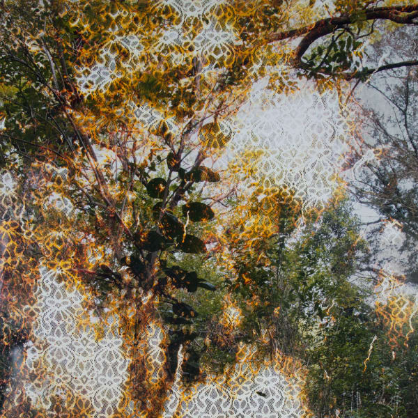 Matthew Brandt - Panama Pacific International Fair_AAE-02851, 2025