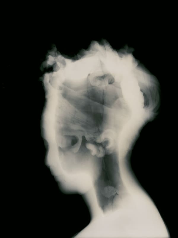 David Maisel History’s Shadow GM12, 2010 Archival Pigment Print 64 x 48 inches