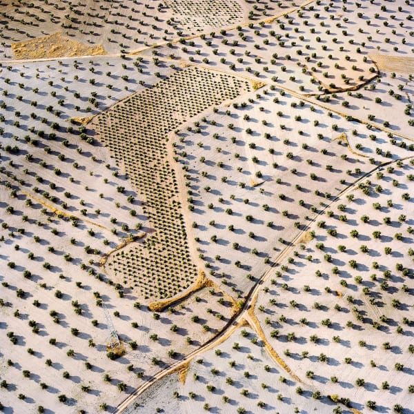 David Maisel The Fall (Borox 11), 2013 Archival Pigment Print 31 x 31 inches, framed