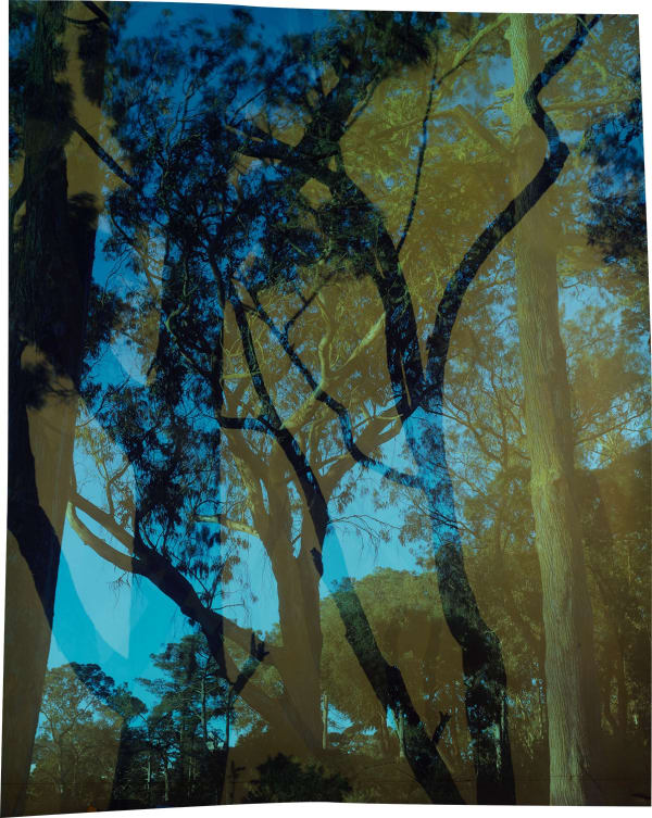 John Chiara Carolina: Traverse: John F. Kennedy, 2022 Camera Obscura Ilfochrome Photograph, Unique 56 x 47 inches, framed