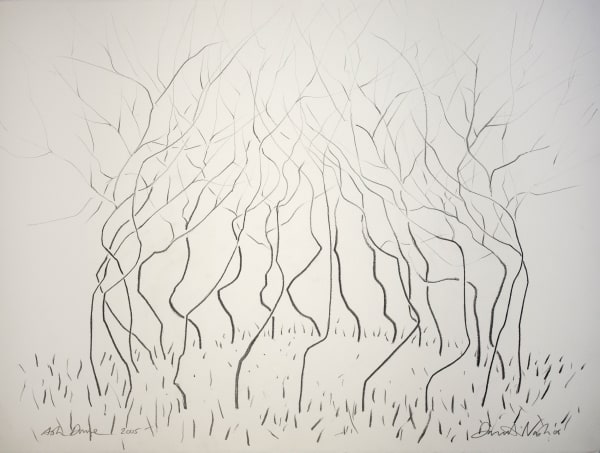 David Nash Ash Dome, 2005 Graphite on paper 24 x 31.5 inches, framed