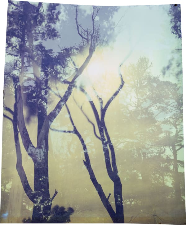 John Chiara Coral, Carolina, Russia, 2023 Camera Obscura Ilfochrome Photograph, Unique 56 x 47 inches, framed