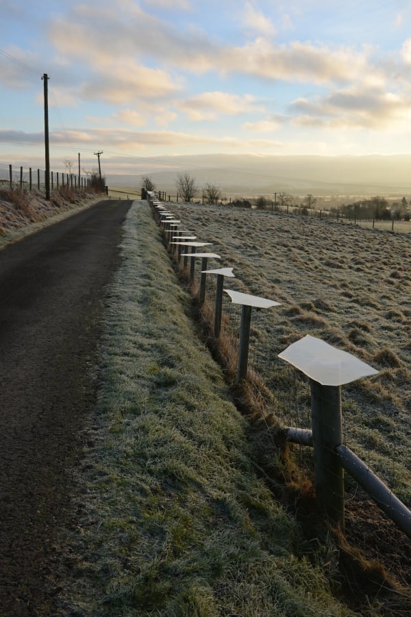 Andy Goldsworthy Ice. Lifted from nearby pond. Placed on top of fence posts. Early morning. Dumfriesshire, Scotland. 30 January 2017, 2017 Unique Archival Inkjet Print 36.5 x 25 inches, framed