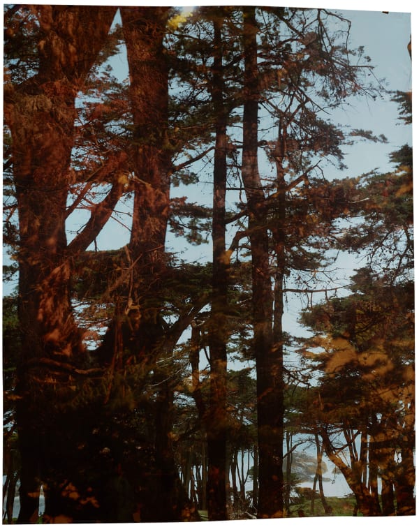 John Chiara Traverse Martin Luther King, Treasure Island, 2023 Camera Obscura Ilfochrome Photograph, Unique 56 x 47 inches, framed