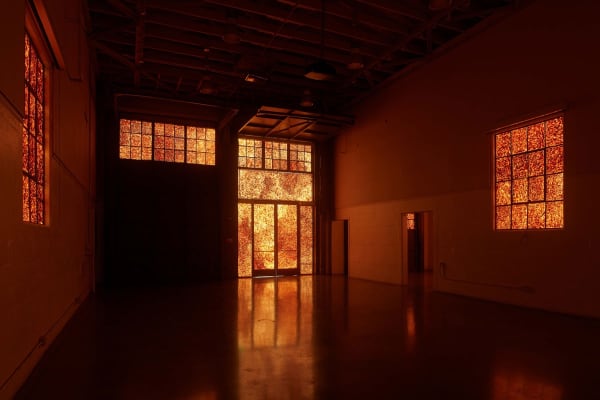 Andy Goldsworthy: Firehouse