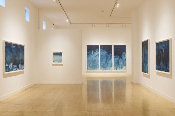 Meghann Riepenhoff: Ice