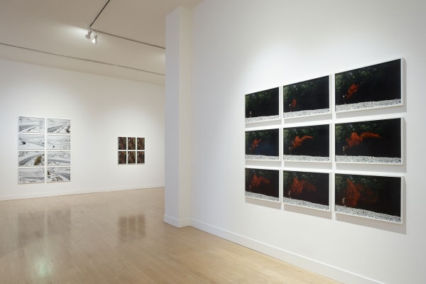Andy Goldsworthy: Drawing Water Standing Still