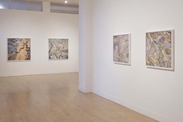 David Maisel: The Fall