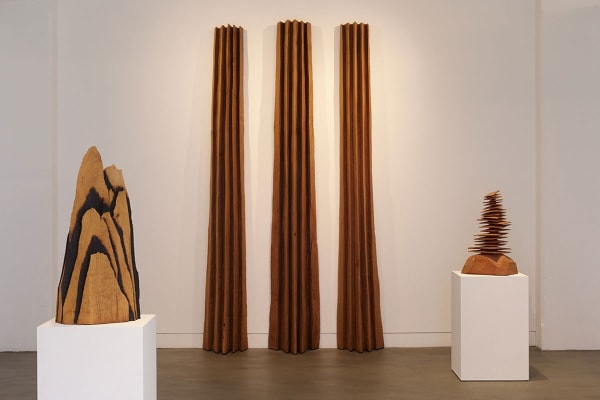 David Nash: Wildwood