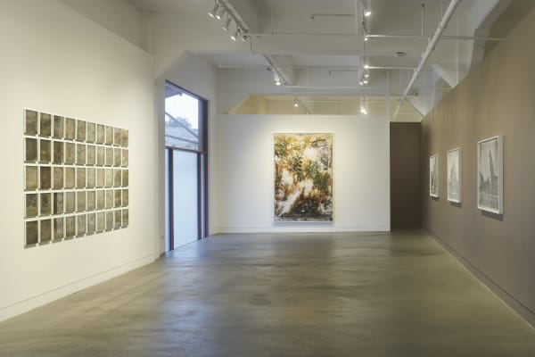 Matthew Brandt: From the Ashes