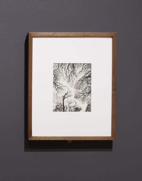 Linda Connor Museum Exhibition, What We’ve Been Up To: Landscape Denver Art Museum, CO June 8 - December 7, 2025