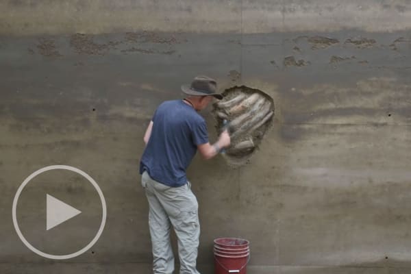 Andy Goldsworthy: Earth Wall