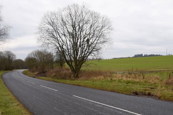 'Why Andy Goldsworthy Needs to Be in a Tree'