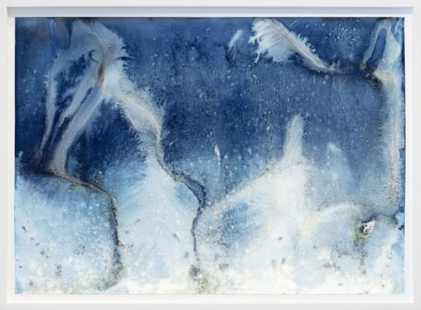 Meghann Riepenhoff Day 259.2: Waters of the Americas: Florida Department of Environmental Protection #8092, 2024 Unique Dynamic Cyanotype 34 x 46 inches, framed SOLD