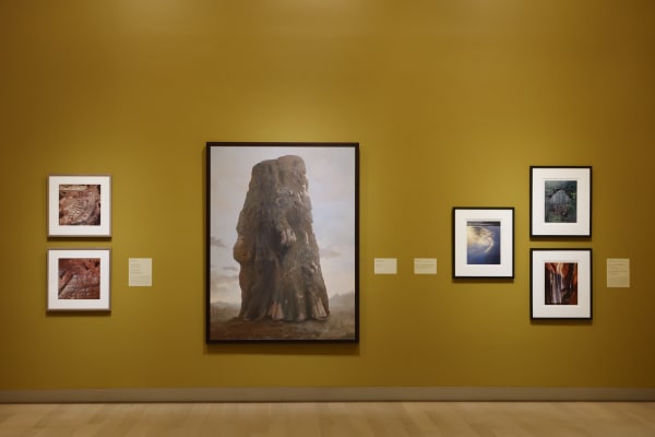 David Maisel Museum Exhibition, The Long View: From Conservation to Sustainability Arkansas Museum of Fine Arts, Little Rock, AR June...