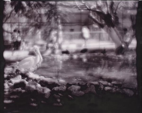 Linda Connor Museum Exhibition, A Surreal Lens: Photography From the Figge Collection Figge Art Museum, Davenport, IA December 20, 2025...