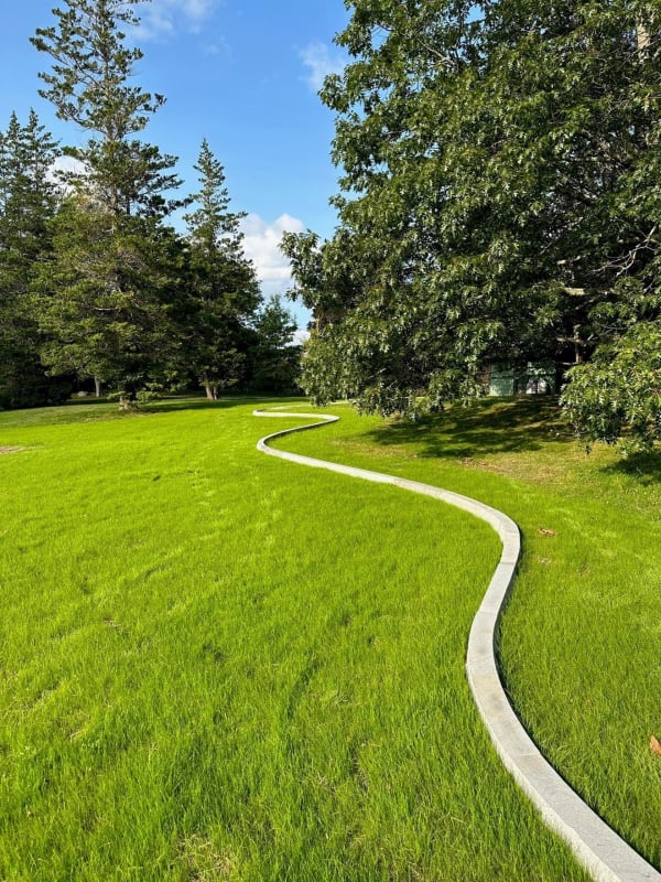 Andy Goldsworthy, Road Line, 2023