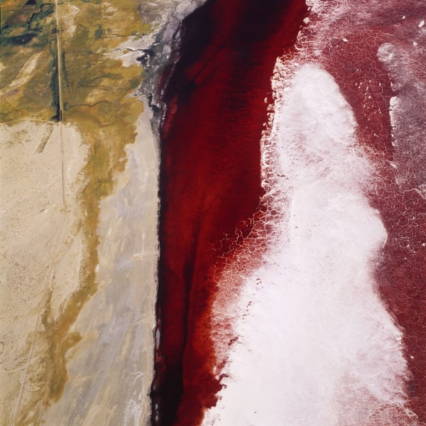 David Maisel, The Lake Project 1, 2003
