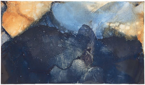 Meghann Riepenhoff Artist Award