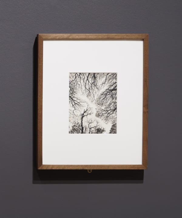 Installation view of What We’ve Been Up To: Landscape at Denver Art Museum, June 8, 2025 - December 7, 2025. Photos © and courtesy Denver Art Museum.