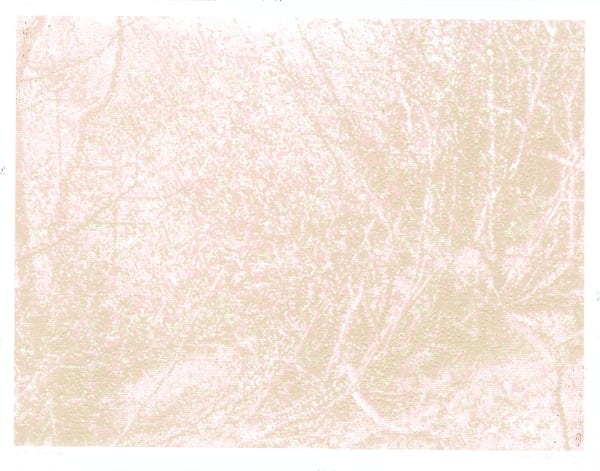 Mark Doyle, Transition, 2017, screenprint and embossing.