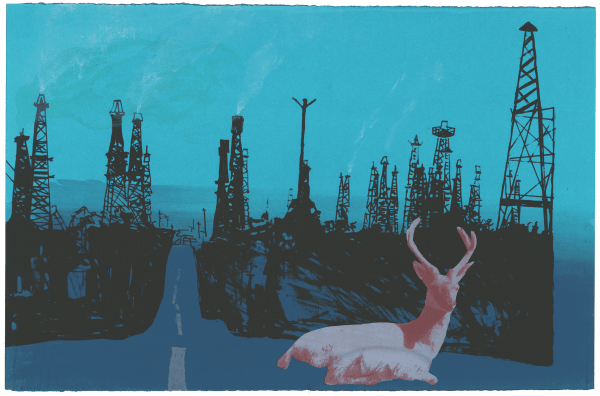 Last of the White Stags
