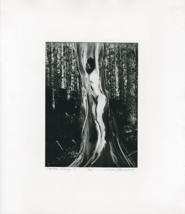 Daphne Rising I